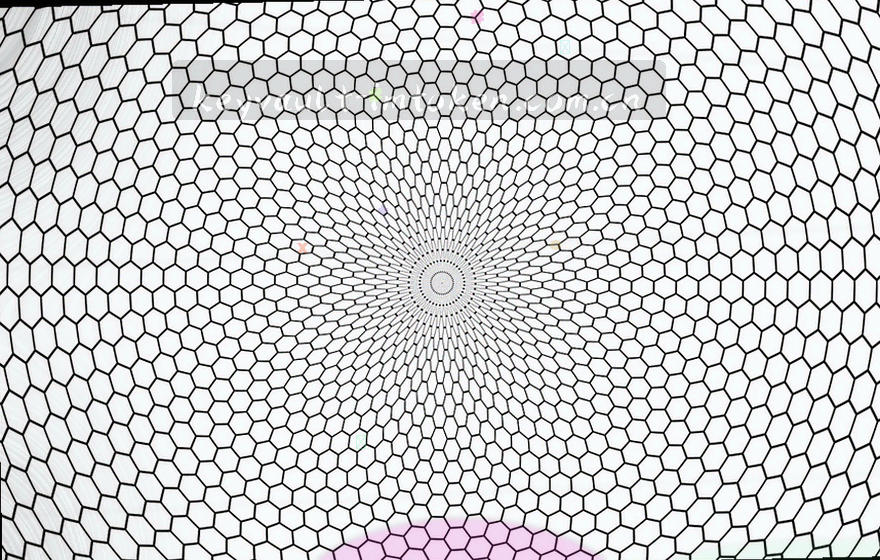 同心环形节点示意图，中心为钱包核心，外环分布多条主网节点，以细线连接